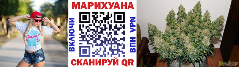 Шишки марихуана OG Kush  Гурьевск 